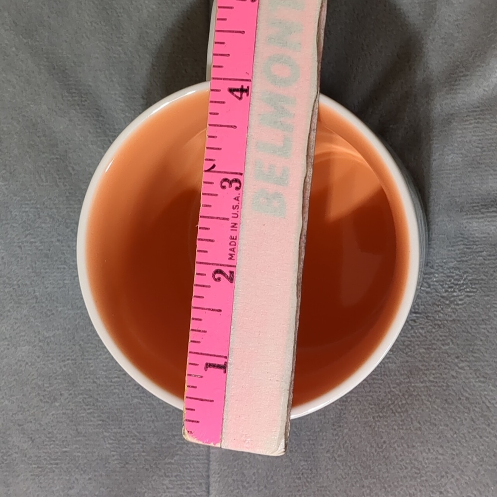 STARBUCKS Texas Ceramic Mug Been There Series 14oz 2019 - Picture 8 of 10